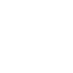 Business licensing and incentives support