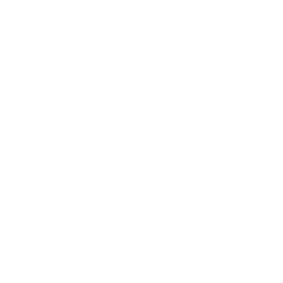 Visa and immigration services